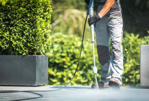 Best Solar Panel Cleaning  in Auburn, CA