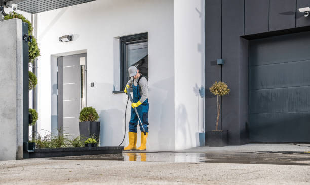Best Roof Washing  in Auburn, CA